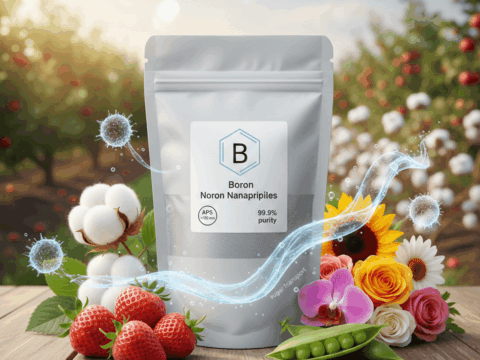 Boron Nanoparticles (B NPs)