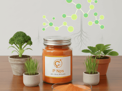 Phosphorus Nanoparticles (P NPs)